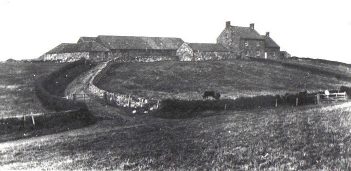 A black and white photo of a house on a hill
Description automatically generated with medium confidence